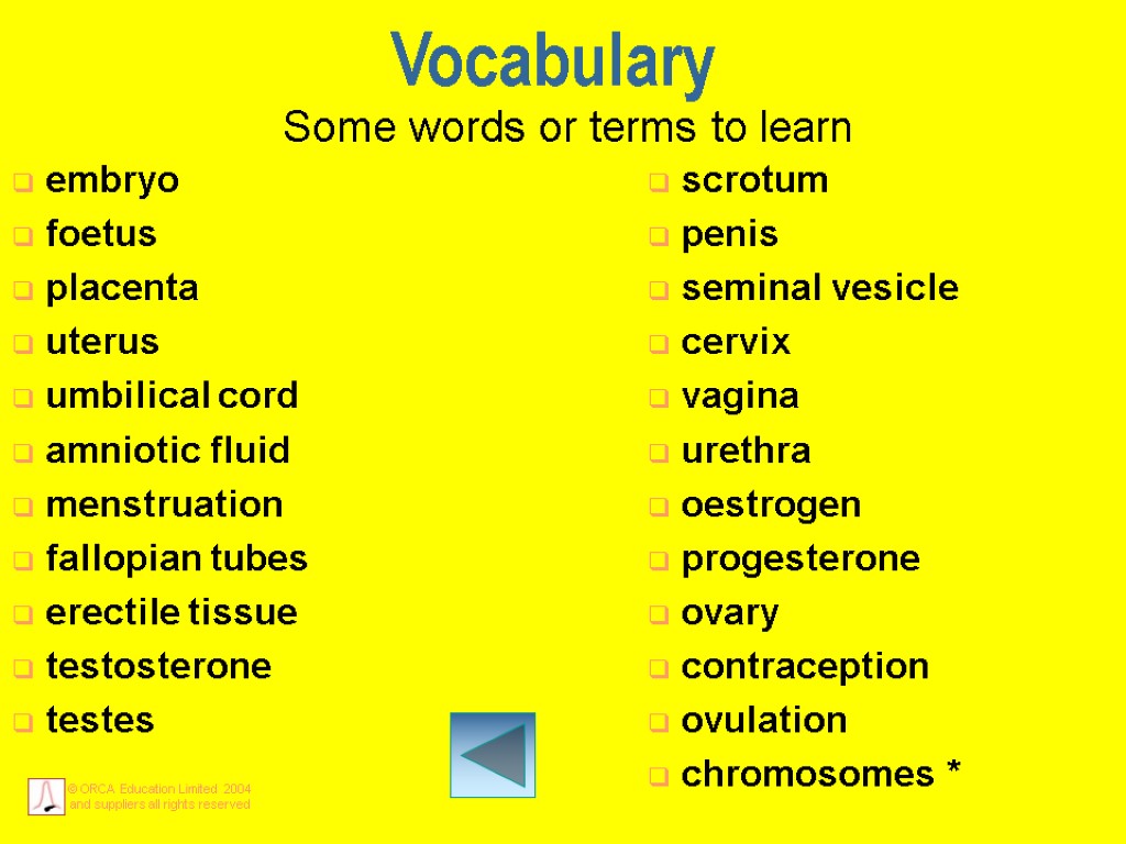 Vocabulary Some words or terms to learn embryo foetus placenta uterus umbilical cord amniotic